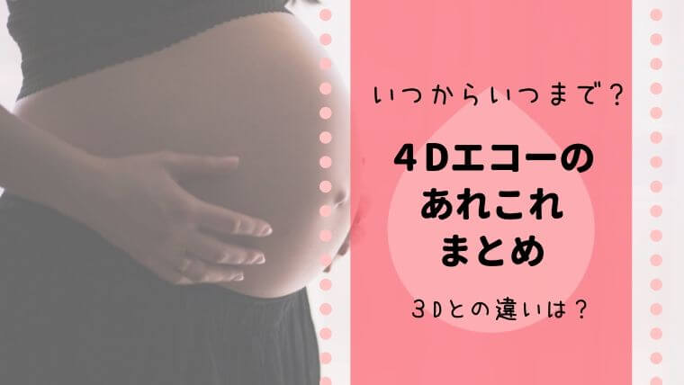 4Dエコー　いつから　いつまで